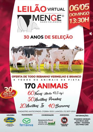 LEILÃO VIRTUAL MENGE GADO HOLANDÊS<BR>30 Anos de seleção<br>Oferta Especial de Todo Rebanho HVB e Todos Animais de Pista LEILÃO VIRTUAL MENGE GADO HOLANDÊS<BR>30 Anos de seleção<br>Oferta Especial de Todo Rebanho HVB e Todos Animais de Pista