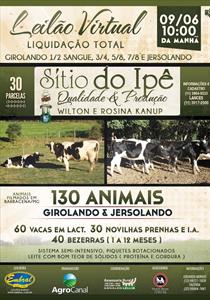 LEILÃO VIRTUAL SÍTIO DO IPÊ LEILÃO VIRTUAL SÍTIO DO IPÊ