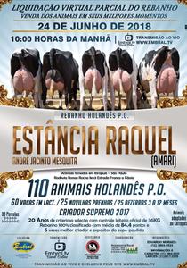 LIQUIDAÇÃO VIRTUAL PARCIAL ESTÂNCIA RAQUEL<BR>ANDRÉ JACINTO MESQUITA LIQUIDAÇÃO VIRTUAL PARCIAL ESTÂNCIA RAQUEL<BR>ANDRÉ JACINTO MESQUITA