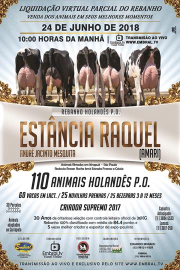LIQUIDAÇÃO VIRTUAL PARCIAL ESTÂNCIA RAQUEL<BR>ANDRÉ JACINTO MESQUITA LIQUIDAÇÃO VIRTUAL PARCIAL ESTÂNCIA RAQUEL<BR>ANDRÉ JACINTO MESQUITA
