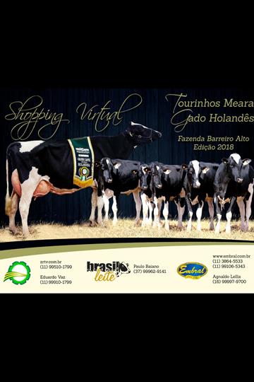SHOPPING VIRTUAL TOURINHOS MEARA - GADO HOLANDÊS | FAZENDA BARREIRO ALTO - EDIÇÃO 2018 SHOPPING VIRTUAL TOURINHOS MEARA - GADO HOLANDÊS | FAZENDA BARREIRO ALTO - EDIÇÃO 2018