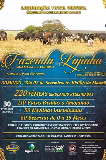 LIQUIDAÇÃO TOTAL VIRTUAL DO REBANHO GIROLANDO REGISTRADO, MÁQUINAS E EQUIPAMENTOS DE LEITE FAZENDA LAJINHA E CONVIDADO GIROLANDO GO DA PONTE LIQUIDAÇÃO TOTAL VIRTUAL DO REBANHO GIROLANDO REGISTRADO, MÁQUINAS E EQUIPAMENTOS DE LEITE FAZENDA LAJINHA E CONVIDADO GIROLANDO GO DA PONTE
