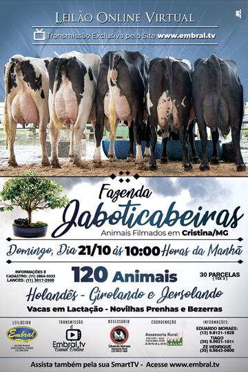 LEILÃO ON LINE FAZENDA JABOTICABEIRAS LEILÃO ON LINE FAZENDA JABOTICABEIRAS