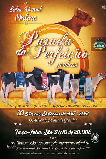 LEILÃO ON LINE | PARADA DA PERFEIÇÃO LEILÃO ON LINE | PARADA DA PERFEIÇÃO