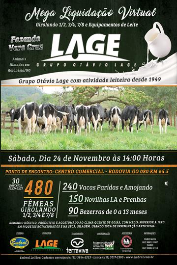 MEGA LIQUIDAÇÃO TOTAL VIRTUAL DO REBANHO GIROLANDO 1/2 - 3/4 - 7/8 E EQUIPAMENTO DE LEITE GRUPO OTAVIO LAGE | FAZENDA VERA CRUZ MEGA LIQUIDAÇÃO TOTAL VIRTUAL DO REBANHO GIROLANDO 1/2 - 3/4 - 7/8 E EQUIPAMENTO DE LEITE GRUPO OTAVIO LAGE | FAZENDA VERA CRUZ