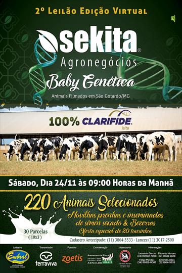 LEILÃO SEKITA BABY GENÉTICA | 100% CLARIFIDE LEILÃO SEKITA BABY GENÉTICA | 100% CLARIFIDE