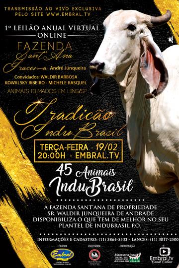 1º LEILÃO ANUAL ONLINE TRADIÇÃO INDUBRASIL<BR>FAZENDA SANTANNA & FAZENDA IRACEMA 1º LEILÃO ANUAL ONLINE TRADIÇÃO INDUBRASIL<BR>FAZENDA SANTANNA & FAZENDA IRACEMA