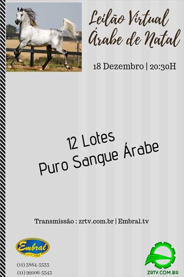 LEILÃO VIRTUAL ÁRABE DE NATAL LEILÃO VIRTUAL ÁRABE DE NATAL
