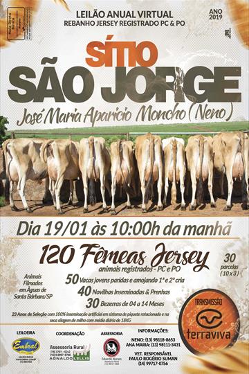 LEILÃO VIRTUAL REBANHO JERSEY PO e PC <BR> SITIO SÃO JORGE | José Maria Aparício Moncho (Neno) LEILÃO VIRTUAL REBANHO JERSEY PO e PC <BR> SITIO SÃO JORGE | José Maria Aparício Moncho (Neno)