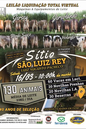 LIQUIDAÇÃO VIRTUAL DE GADO JERSEY, JERSOLANDO, PARDO-SUIÇO E HOLANDES LIQUIDAÇÃO VIRTUAL DE GADO JERSEY, JERSOLANDO, PARDO-SUIÇO E HOLANDES
