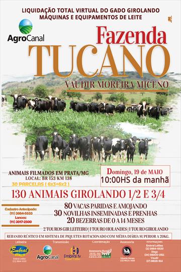 LIQUIDAÇÃO TOTAL VIRTUAL GADO GIROLANDO, MÁQUINAS E EQUIPAMENTOS DE LEITE | FAZENDA TUCANO LIQUIDAÇÃO TOTAL VIRTUAL GADO GIROLANDO, MÁQUINAS E EQUIPAMENTOS DE LEITE | FAZENDA TUCANO