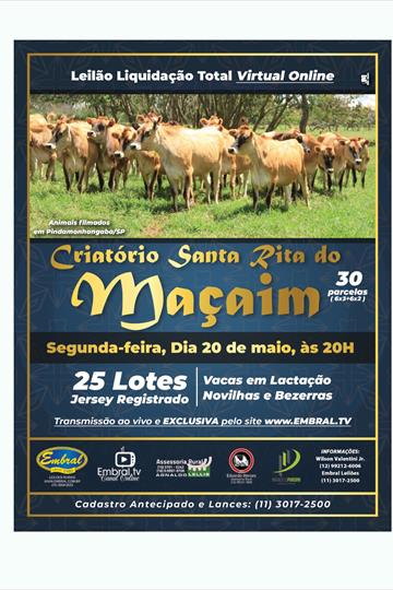 LEILÃO LIQUIDAÇÃO TOTAL ON LINE JERSEY | CRIATÓRIO SANTA RITA DO MAÇAIM LEILÃO LIQUIDAÇÃO TOTAL ON LINE JERSEY | CRIATÓRIO SANTA RITA DO MAÇAIM