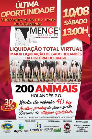 LEILÃO VIRTUAL | MAIOR LIQUIDAÇÃO DE GADO HOLANDES PO DA HISTÓRIA<br>600 FÊMEAS PO LEILÃO VIRTUAL | MAIOR LIQUIDAÇÃO DE GADO HOLANDES PO DA HISTÓRIA<br>600 FÊMEAS PO