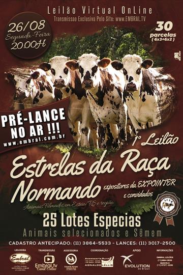 LEILÃO ON LINE | 1º LEILÃO ESTRELAS DA RAÇA NORMANDO E CONVIDADOS LEILÃO ON LINE | 1º LEILÃO ESTRELAS DA RAÇA NORMANDO E CONVIDADOS