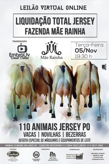 LIQUIDAÇÃO TOTAL JERSEY | FAZENDA MÃE RAINHA LIQUIDAÇÃO TOTAL JERSEY | FAZENDA MÃE RAINHA