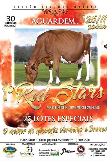1º LEILÃO ON LINE | RED STARS 1º LEILÃO ON LINE | RED STARS