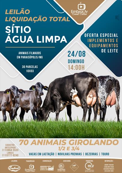 LEILÃO LIQUIDAÇÃO TOTAL SÍTIO ÁGUA LIMPA | GADO GIROLANDO | OFERTA ESPECIAL IMPLEMENTOS E EQUIPAMENTOS DE LEITE LEILÃO LIQUIDAÇÃO TOTAL SÍTIO ÁGUA LIMPA | GADO GIROLANDO | OFERTA ESPECIAL IMPLEMENTOS E EQUIPAMENTOS DE LEITE