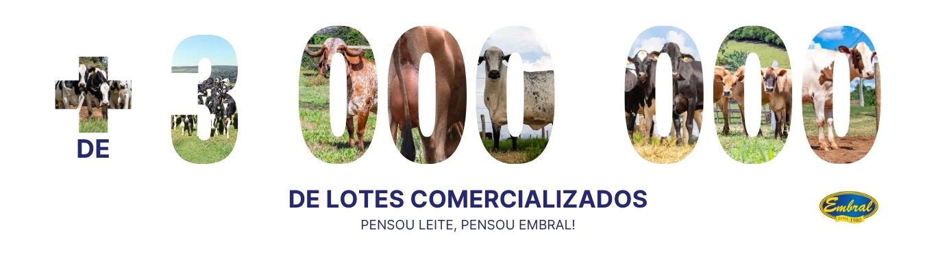 Banner Embral
