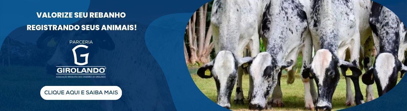 Associacao Girolando