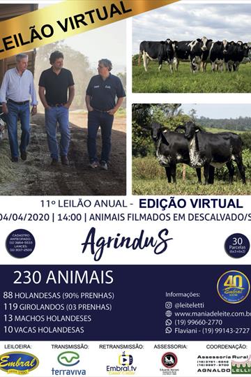 11º LEILÃO ANUAL AGRINDUS<br>EDIÇÃO VIRTUAL 11º LEILÃO ANUAL AGRINDUS<br>EDIÇÃO VIRTUAL