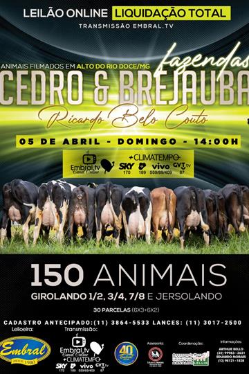 LIQUIDAÇÃO TOTAL GIROLANDO E JERSOLANDO<br> FAZENDAS CEDRO & BREJAUBA LIQUIDAÇÃO TOTAL GIROLANDO E JERSOLANDO<br> FAZENDAS CEDRO & BREJAUBA
