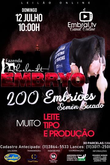 LEILÃO ON LINE EMBRYO | FAZENDA RHOELANDT LEILÃO ON LINE EMBRYO | FAZENDA RHOELANDT