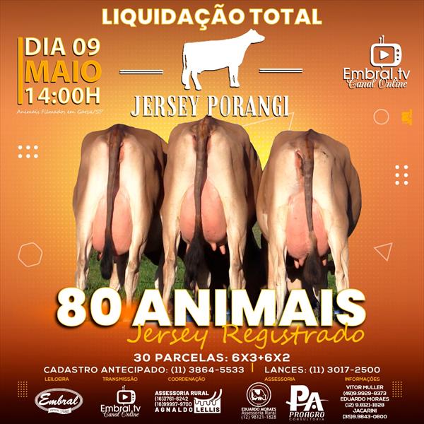 LIQUIDAÇÃO TOTAL JERSEY PORANGI LIQUIDAÇÃO TOTAL JERSEY PORANGI