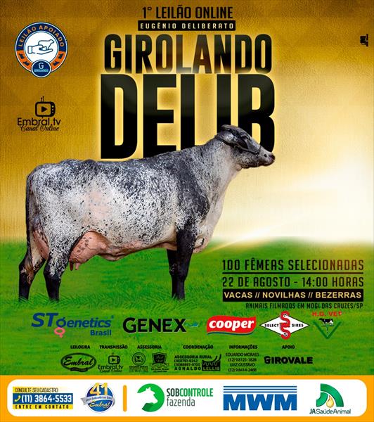1º LEILÃO ON LINE | GIROLANDO DELIB 1º LEILÃO ON LINE | GIROLANDO DELIB