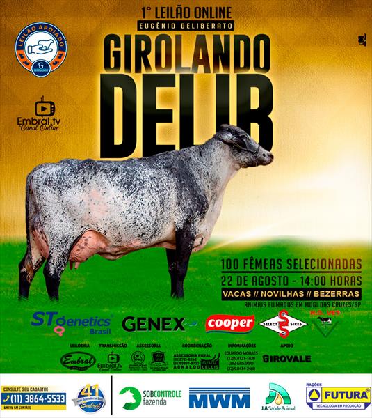 1º LEILÃO ON LINE | GIROLANDO DELIB 1º LEILÃO ON LINE | GIROLANDO DELIB