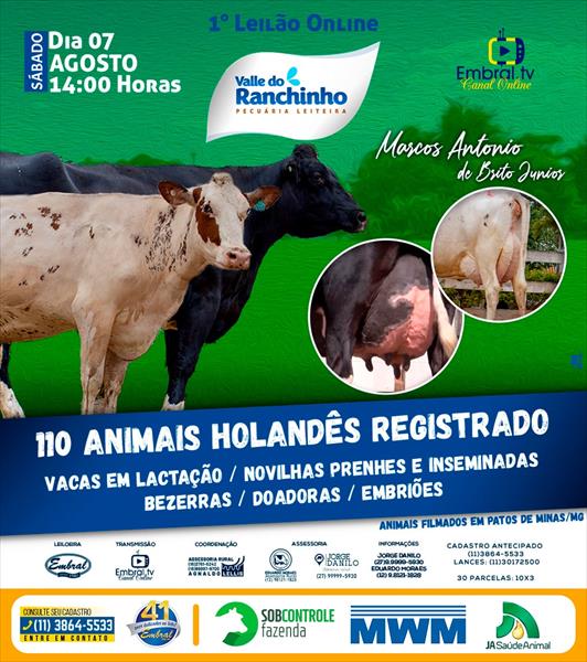 1º LEILÃO ON LINE VALLE DO RANCHINHO 1º LEILÃO ON LINE VALLE DO RANCHINHO