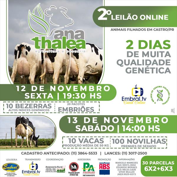 2º LEILÃO ON LINE ANA THALEA | 10 VACAS E 100 NOVILHAS 2º LEILÃO ON LINE ANA THALEA | 10 VACAS E 100 NOVILHAS
