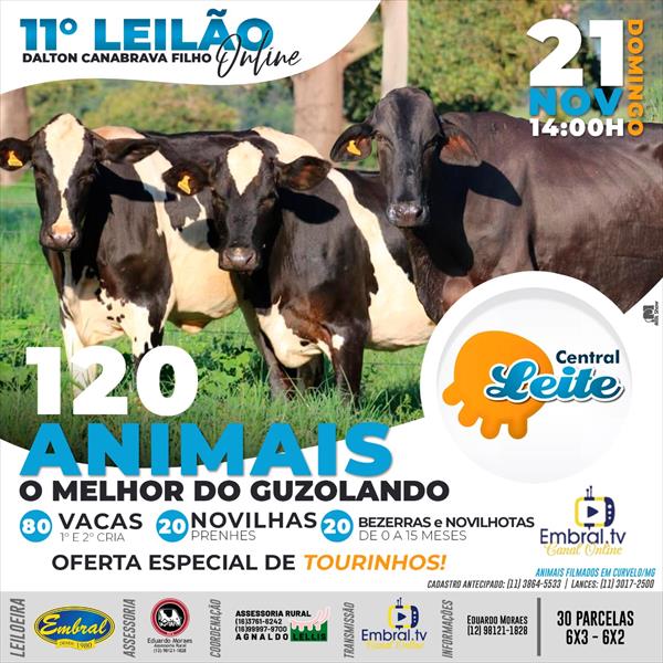 11º LEILÃO ON LINE CENTRAL LEITE 11º LEILÃO ON LINE CENTRAL LEITE