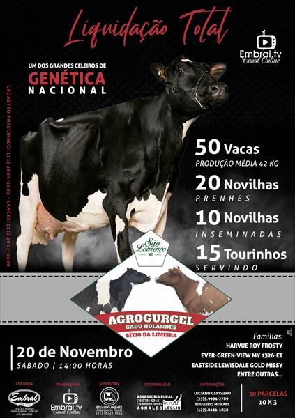 LIQUIDAÇÃO TOTAL AGROGURGEL GADO HOLANDÊS - SITIO LIMEIRA LIQUIDAÇÃO TOTAL AGROGURGEL GADO HOLANDÊS - SITIO LIMEIRA