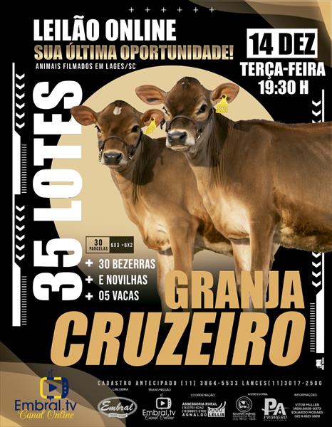 SUA ULTIMA OPORTUNIDADE !!<BR>LEILÃO ONLINE GRANJA CRUZEIRO SUA ULTIMA OPORTUNIDADE !!<BR>LEILÃO ONLINE GRANJA CRUZEIRO