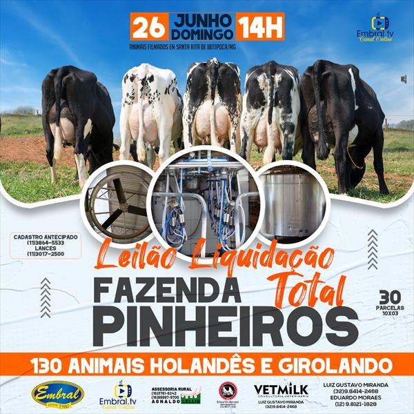 LIQUIDAÇÃO TOTAL FAZENDA PINHEIROS LIQUIDAÇÃO TOTAL FAZENDA PINHEIROS
