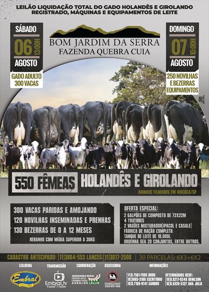 LIQUIDAÇÃO TOTAL DO GADO HOLANDÊS E GIROLANDO, MÁQUINAS E EQUIPAMENTOS DE LEITE BOM JARDIM DA SERRA | FAZENDA QUEBRA CUIA LIQUIDAÇÃO TOTAL DO GADO HOLANDÊS E GIROLANDO, MÁQUINAS E EQUIPAMENTOS DE LEITE BOM JARDIM DA SERRA | FAZENDA QUEBRA CUIA