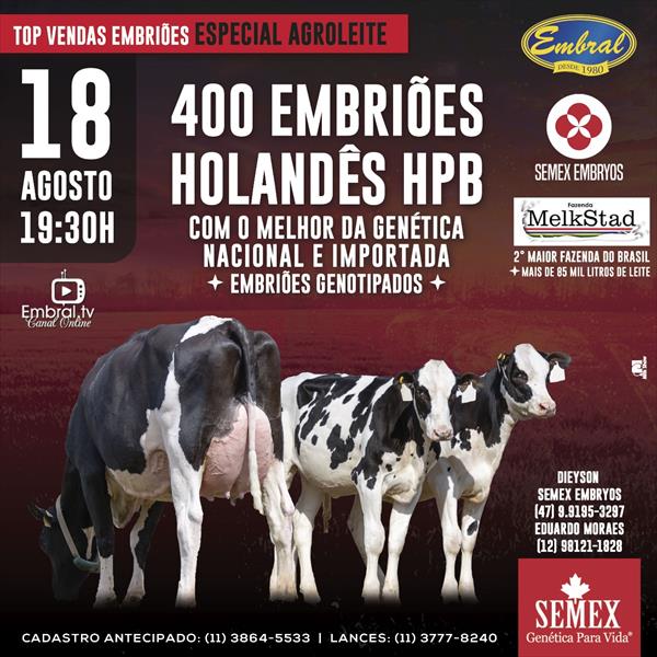 TOP DE VENDAS EMBRIÕES ESPECIAL AGROLEITE | SEMEX EMBRYOS TOP DE VENDAS EMBRIÕES ESPECIAL AGROLEITE | SEMEX EMBRYOS