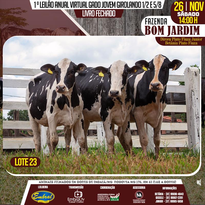 Embral Leilões - Especializada em Leilões do Segmento Rural