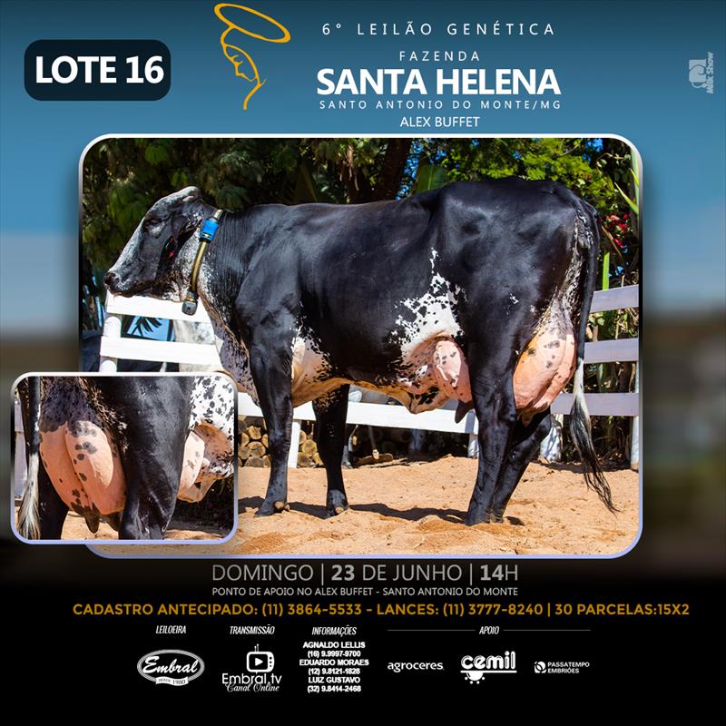 Embral Leilões - Especializada em Leilões do Segmento Rural