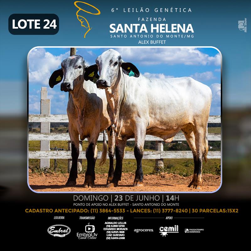 Embral Leilões - Especializada em Leilões do Segmento Rural