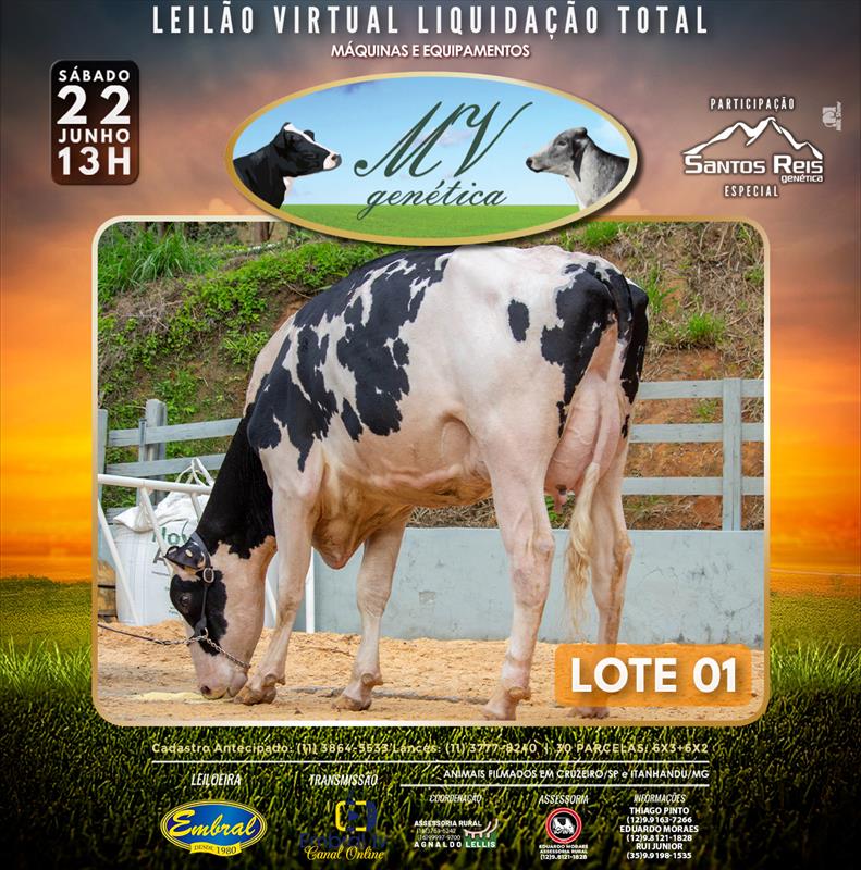 Embral Leilões - Especializada em Leilões do Segmento Rural