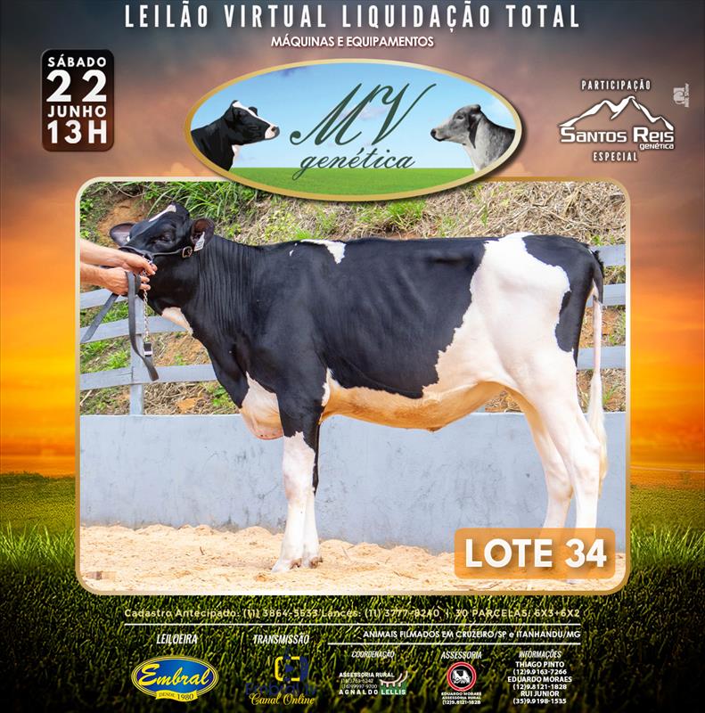 Embral Leilões - Especializada em Leilões do Segmento Rural