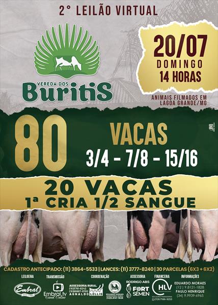 2º LEILÃO VIRTUAL VEREDA DOS BURITIS | GADO GIROLANDO