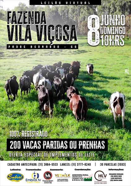 LEILÃO VIRTUAL FAZENDA VILA VIÇOSA | OFERTA ESPECIAL DE IMPLEMENTOS DE LEITE LEILÃO VIRTUAL FAZENDA VILA VIÇOSA | OFERTA ESPECIAL DE IMPLEMENTOS DE LEITE