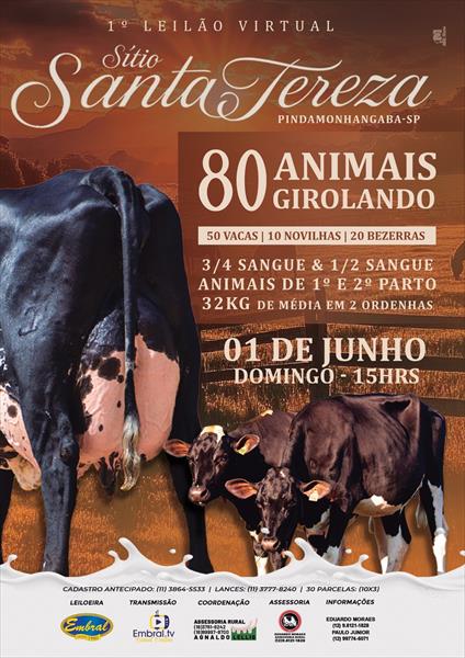 1º LEILÃO VIRTUAL SITIO SANTA TEREZA & CONVIDADO ESPECIAL HARAS SANTA RITA DO MACAIM | GADO GIROLANDO 1/2 E 3/4 1º LEILÃO VIRTUAL SITIO SANTA TEREZA & CONVIDADO ESPECIAL HARAS SANTA RITA DO MACAIM | GADO GIROLANDO 1/2 E 3/4