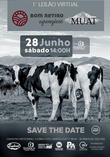 1º LEILÃO VIRTUAL BOM RETIRO AGRONEGÓCIOS 1º LEILÃO VIRTUAL BOM RETIRO AGRONEGÓCIOS