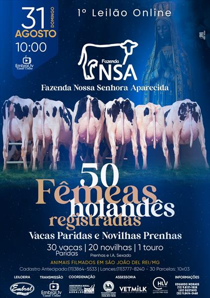 1º LEILÃO ONLINE FAZENDA NOSSA SENHORA APARECIDA | GADO HOLANDÊS 1º LEILÃO ONLINE FAZENDA NOSSA SENHORA APARECIDA | GADO HOLANDÊS