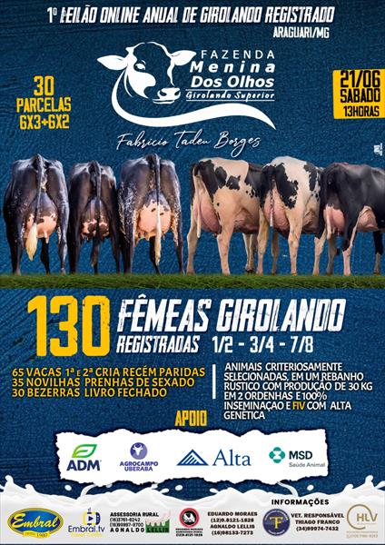 1º LEILÃO ONLINE FAZENDA MENINA DOS OLHOS | GADO GIROLANDO 1/2, 3/4 E 7/8 1º LEILÃO ONLINE FAZENDA MENINA DOS OLHOS | GADO GIROLANDO 1/2, 3/4 E 7/8