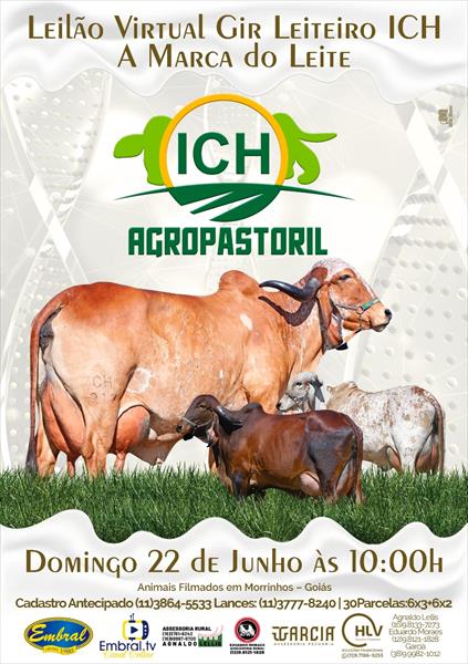 LEILÃO VIRTUAL ICH AGROPASTORIL | GADO GIR LEITEIRO LEILÃO VIRTUAL ICH AGROPASTORIL | GADO GIR LEITEIRO