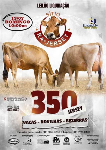 LEILÃO LIQUIDAÇÃO SITIO RA JERSEY | GADO JERSEY LEILÃO LIQUIDAÇÃO SITIO RA JERSEY | GADO JERSEY